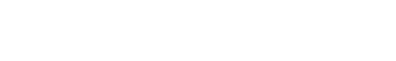 White Theorie Logo