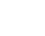 White The Delorean Logo