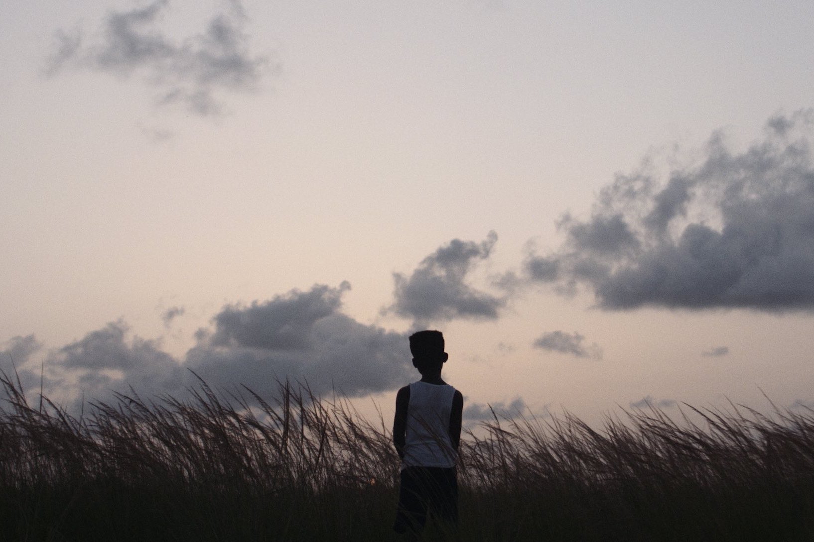 Production Resources Locations Wetlands View from behind of a boy standing in wetlands with cloudy skies at dusk