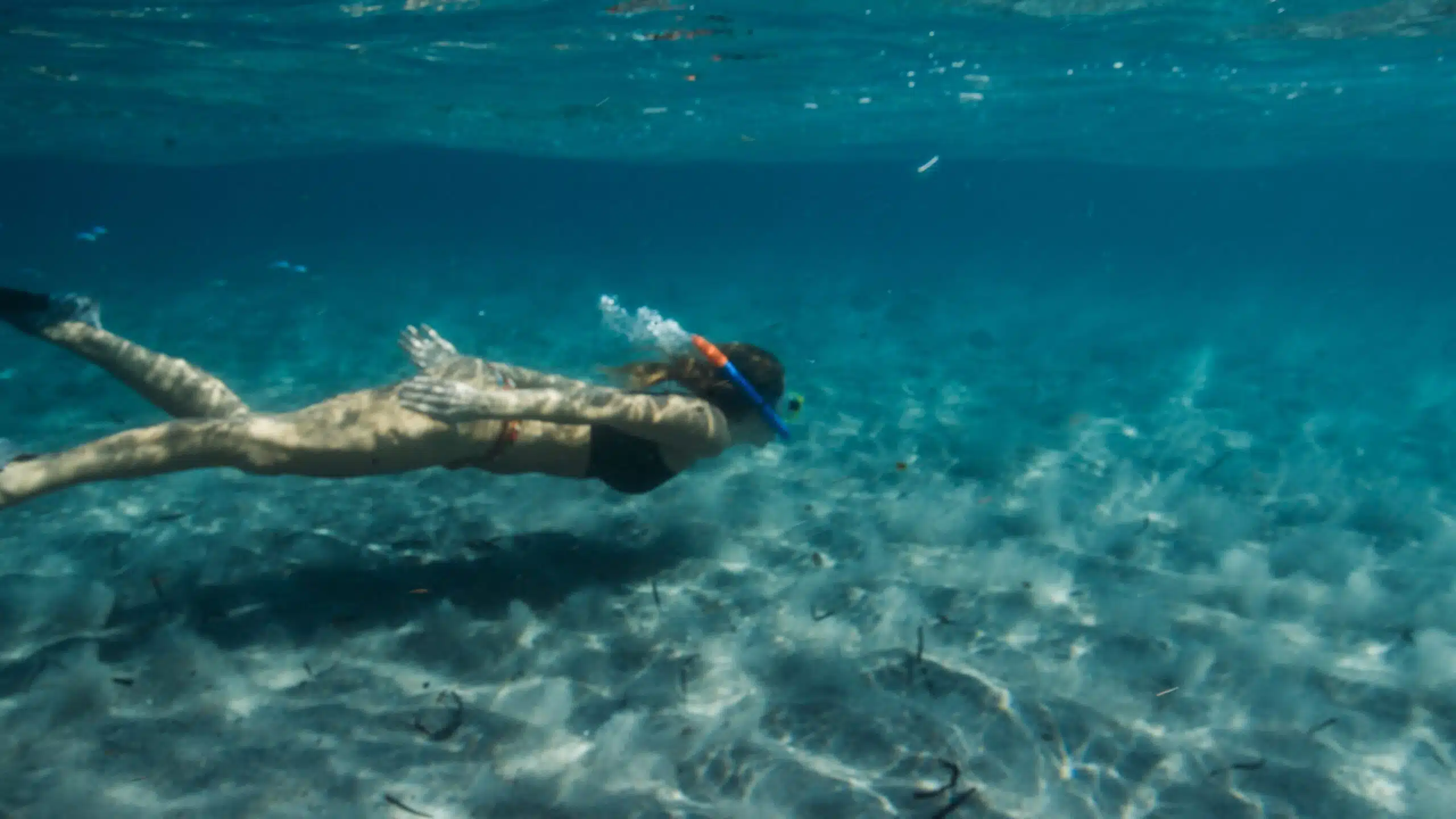 Boca Reef with a female scuba diver swimming in a bikini with an orange and blue snorkel