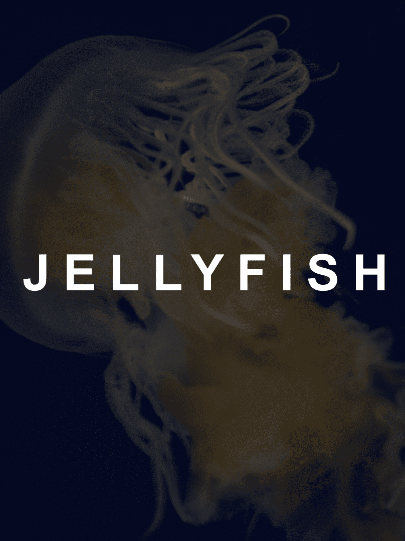 White Jellyfish text on dimmed background of a jellyfish. Tv production Film Production