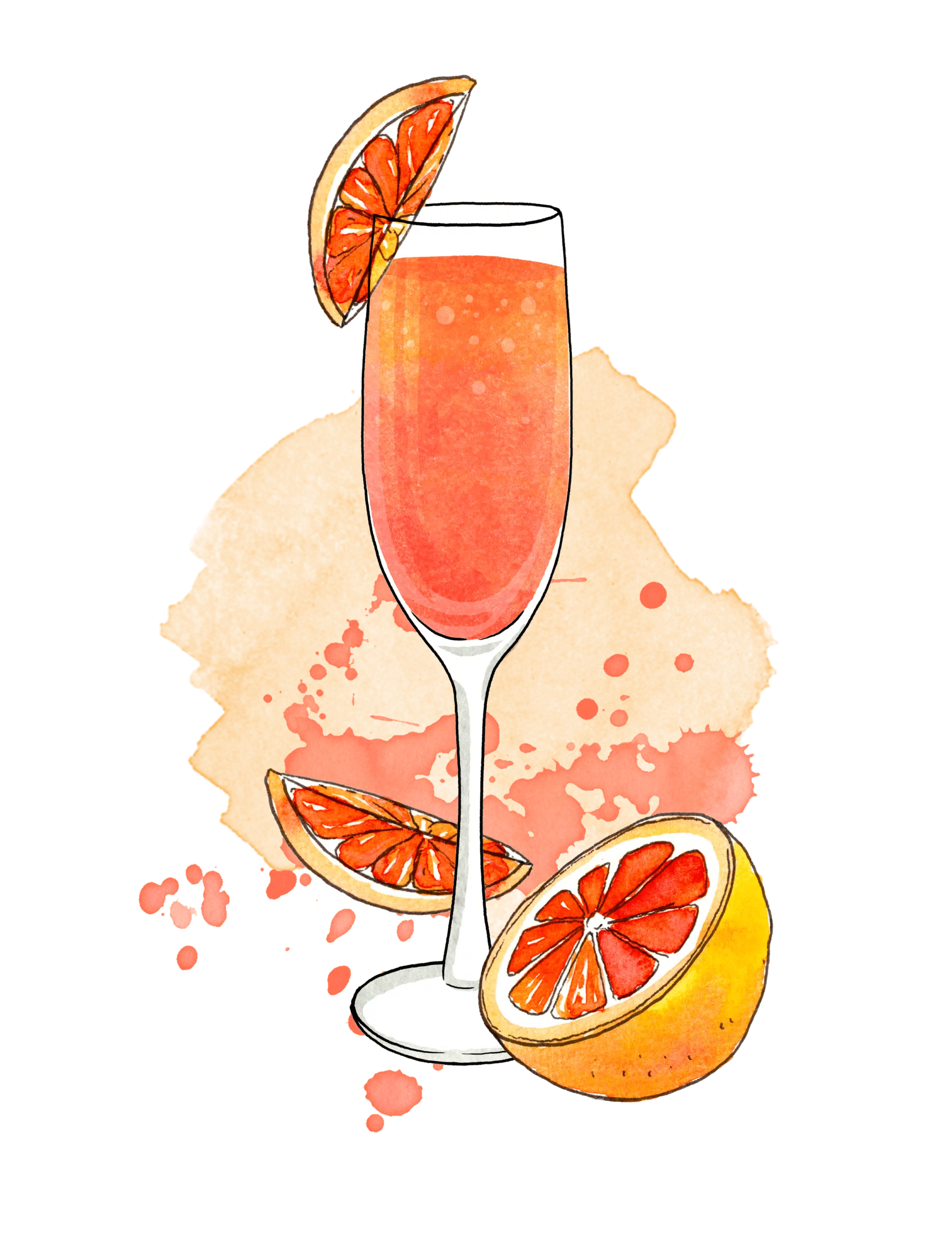 Illustrations Grapefruit Mimosa IU C&I Studios Page Grapefruit Mimosa with orange slices artwork graphic