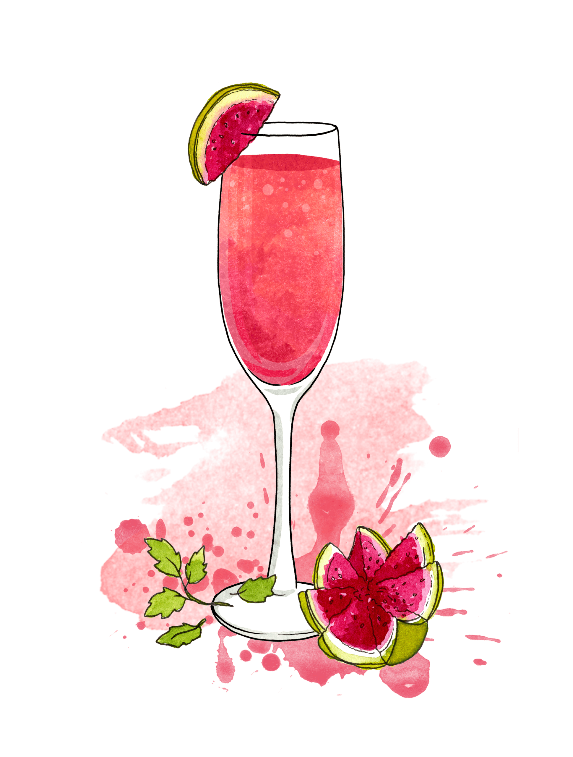 Illustrations Guava Mimosa IU C&I Studios Page Guava Mimosa with guava slices artwork graphic