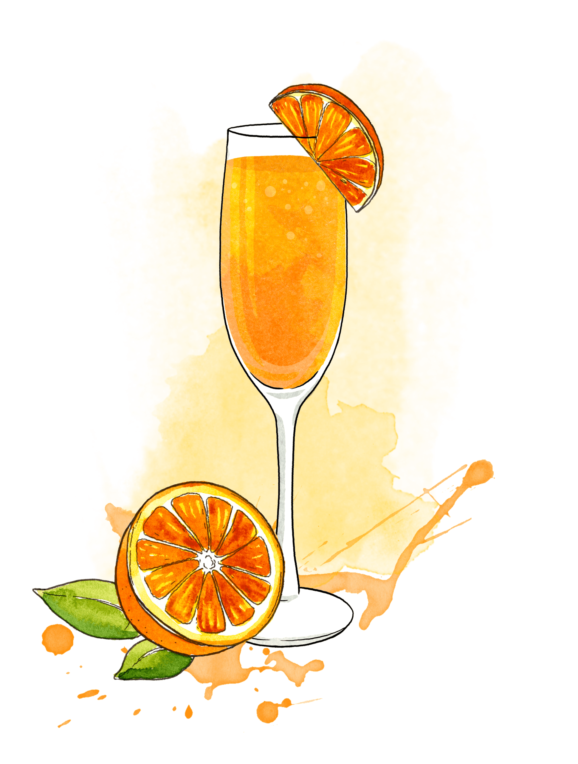 Illustration Orange Mimosa IU C&I Studios Page Orange Mimosa with orange slices artwork graphic