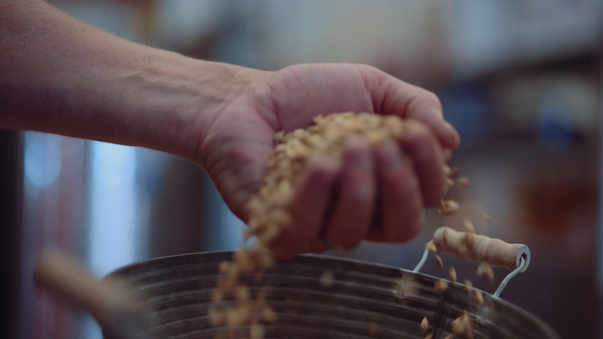 IU C&I Studios Portfolio Taylor Garrett Spirits Closeup of barley being picked up by hand from a metal bucket