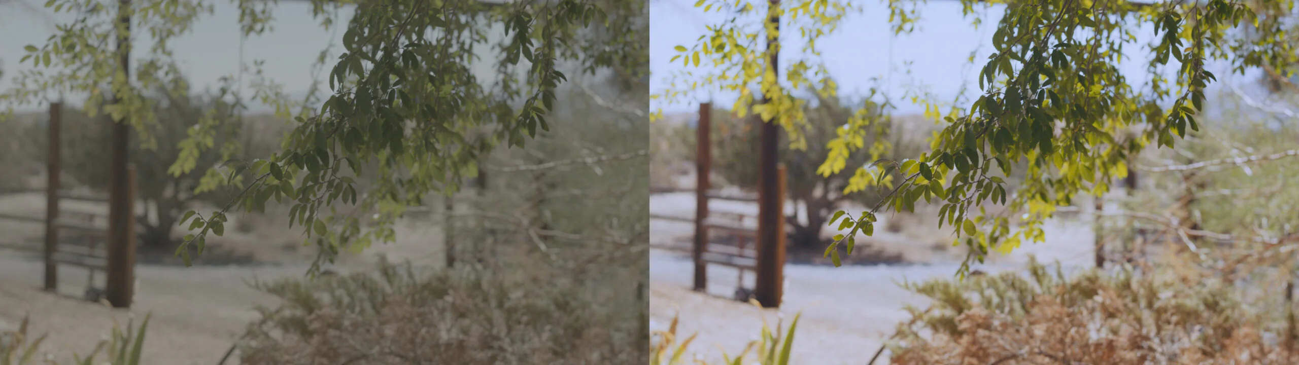 Bart McCarthy - Q Guy 17 Before & After color correction images