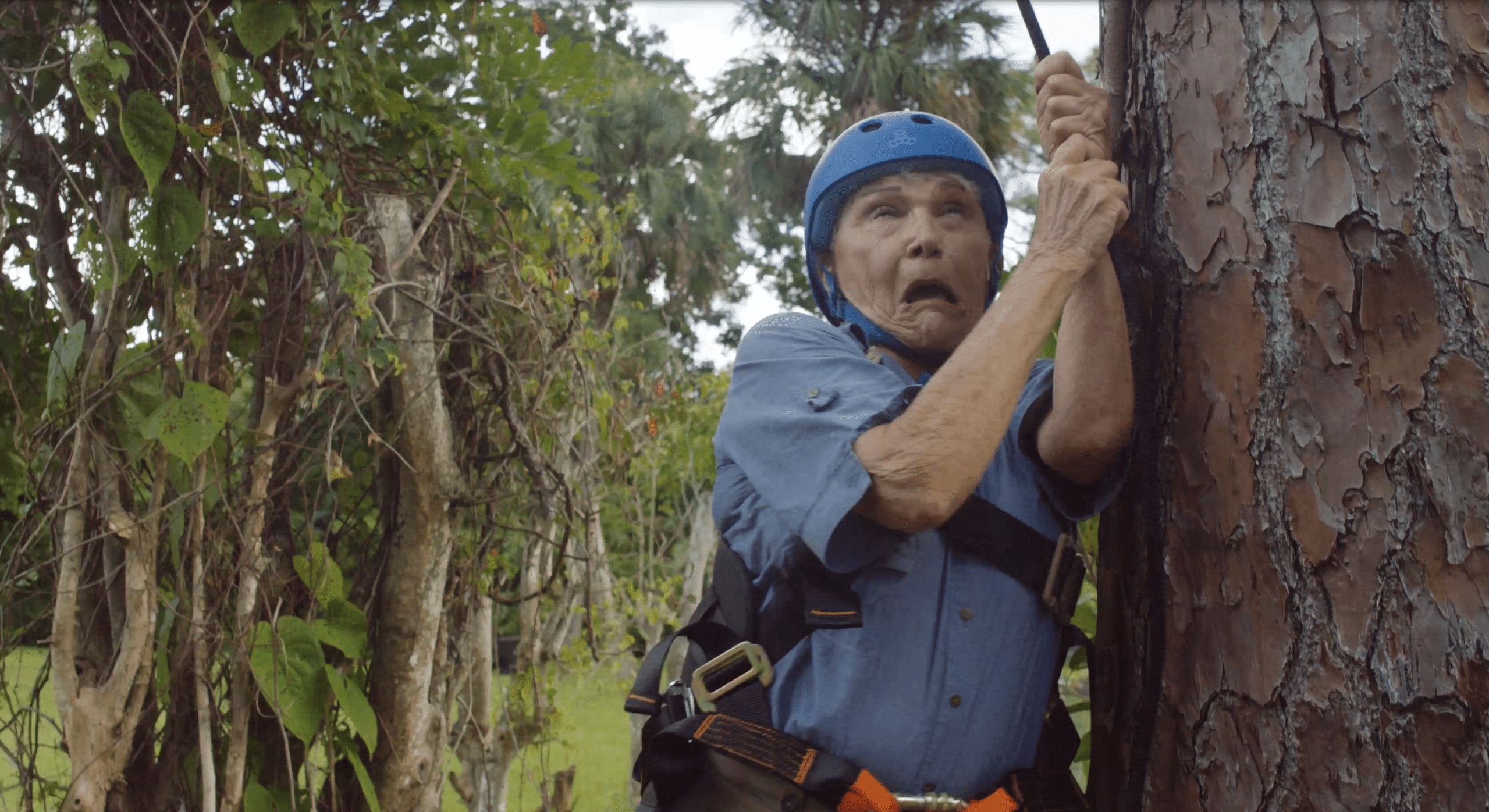 Woman wearing climbing gear grimacing hanging on the side of a tree