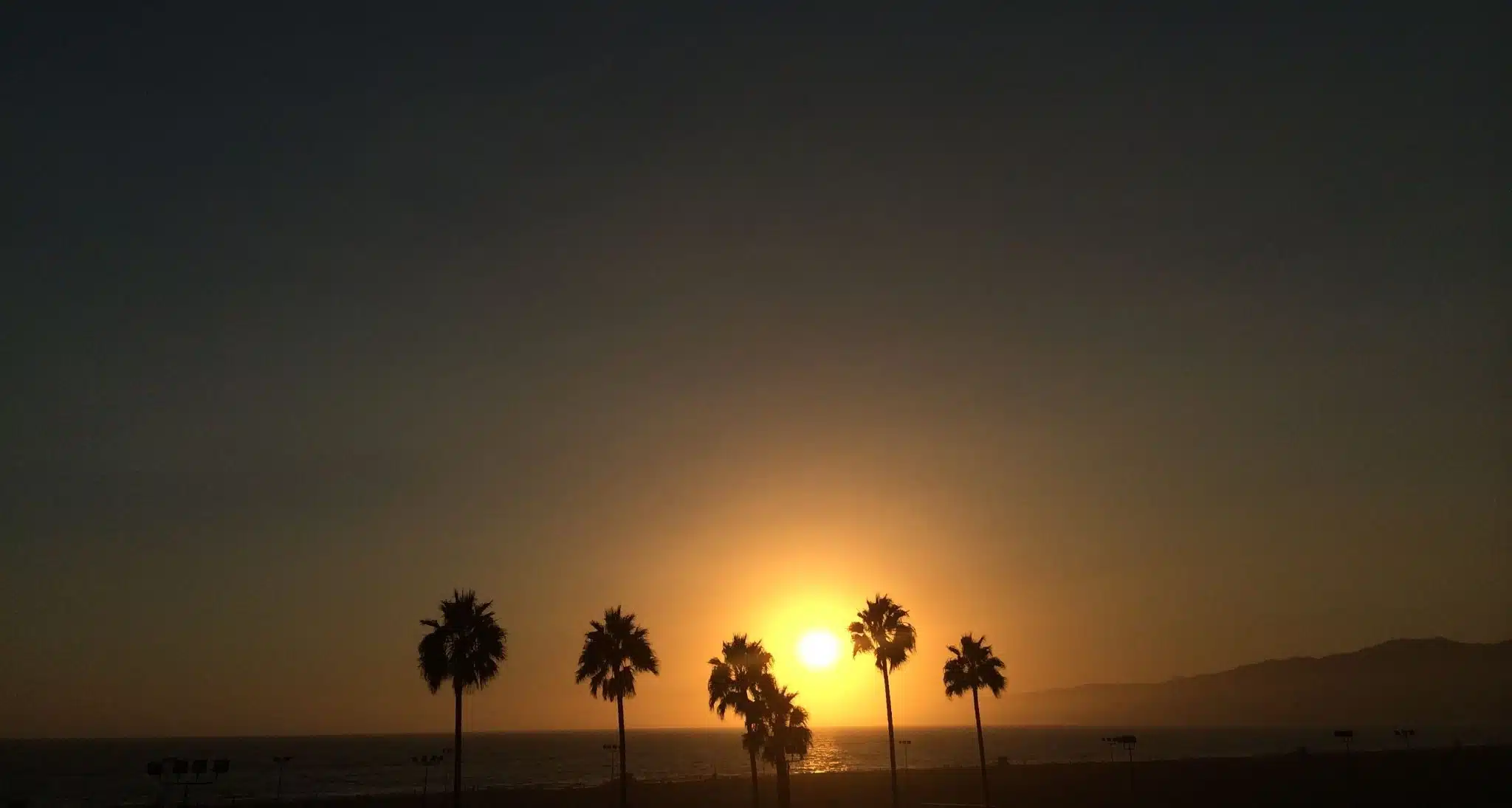 Silhouette of palms trees at sunset on a beach by water with mountain in the background