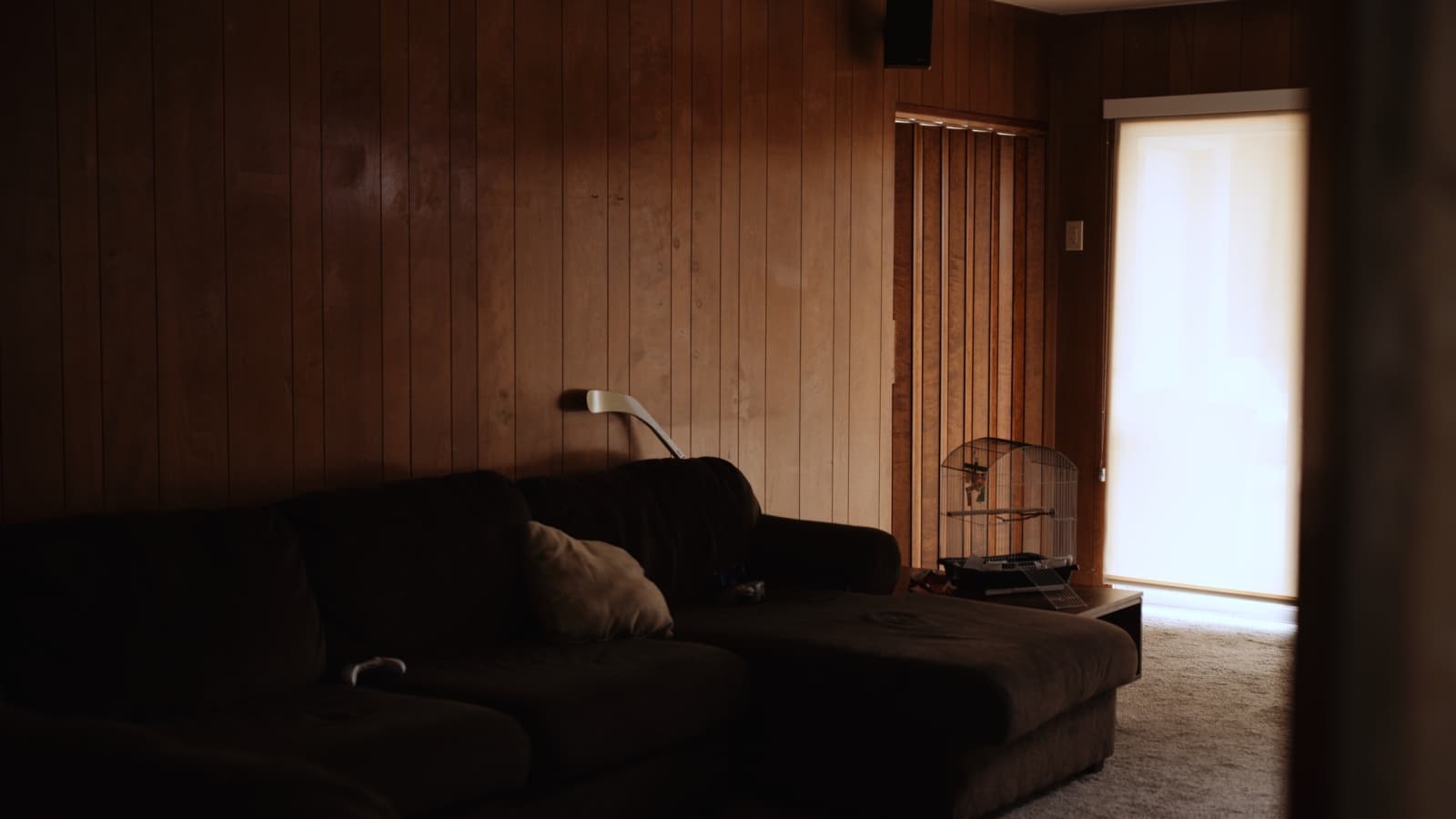 Room with a couch, bird cage and hockey stick leaning against the wall in semidarkness