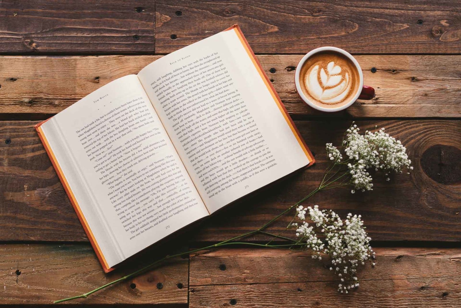 The Power of Blogging to Drive Traffic to Your Website Overhead view of opened book next to cup of cappuccino with plant laying nearby