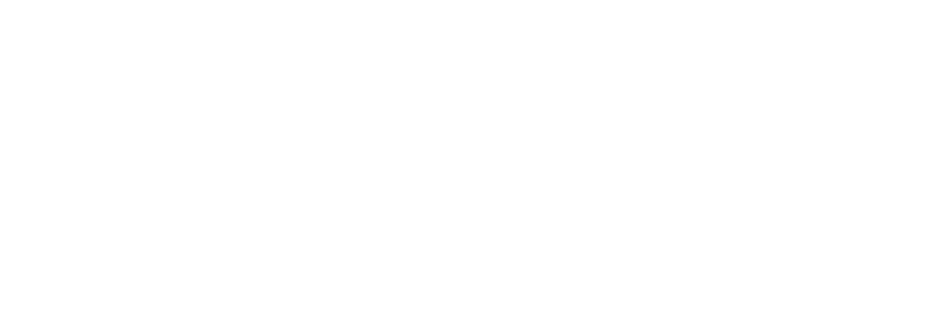 Lincoln logo white