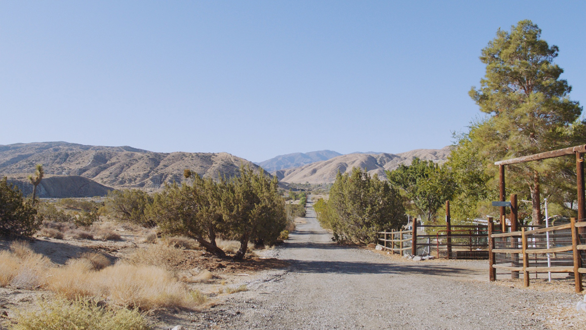 cis post best practices for color grading in feature film mastering