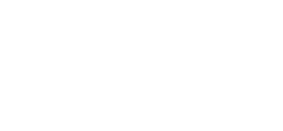 ivivva logo (1)