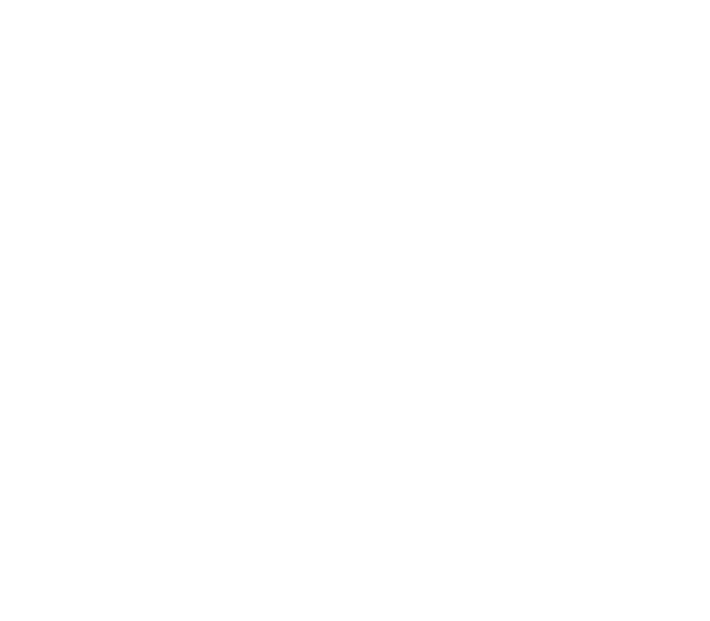 cis portfolio Eliza Orlins white logo
