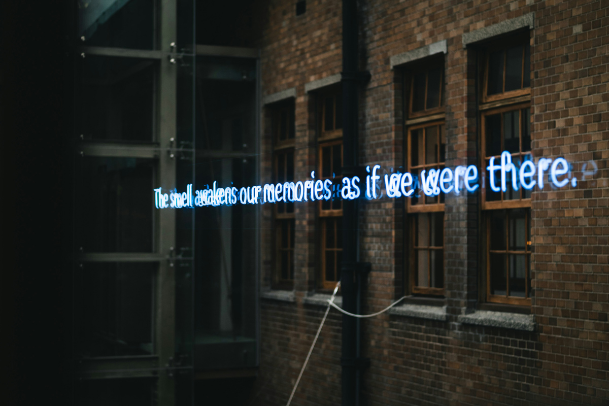 kevin wang 7jO9msx8Hy8 unsplash
