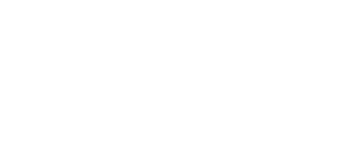 aramis ayala logo white