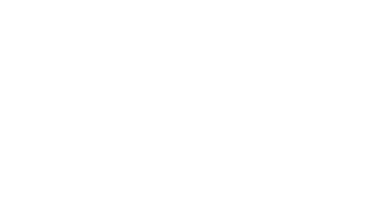 cheyenne hunt for congress logo white