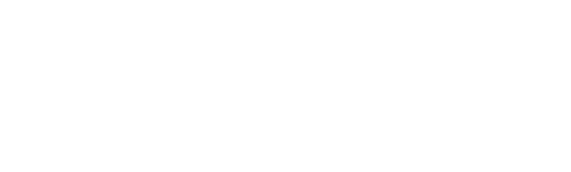 Sunbelt Rentals