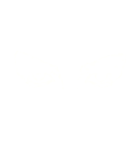 Michelle Kash eyes logo white