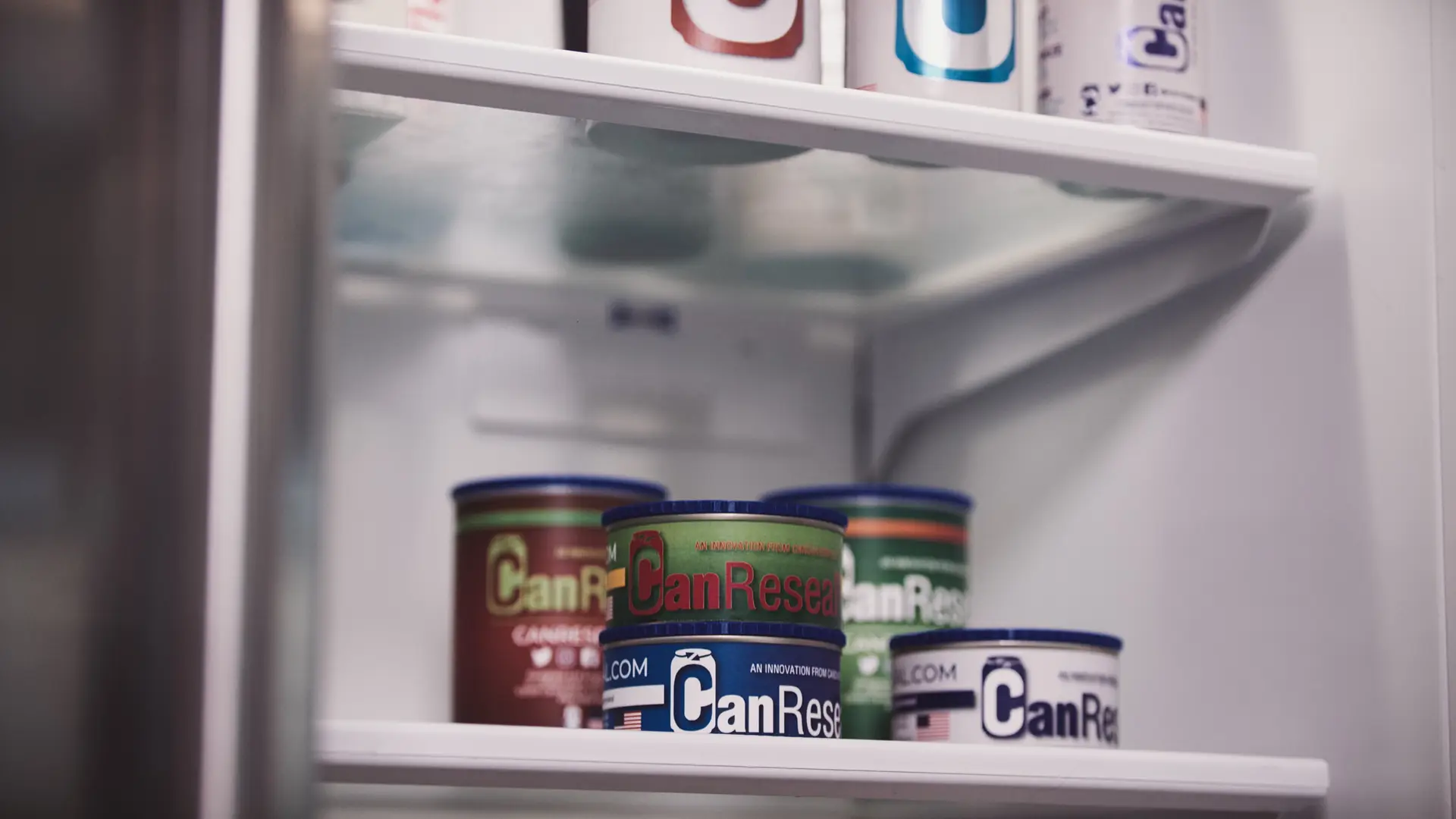 Canovation 8 Canovation Dog Food 1