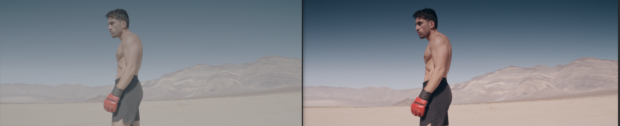 The Martial Artist 1 The Martial Artist color grade before/after comparison
