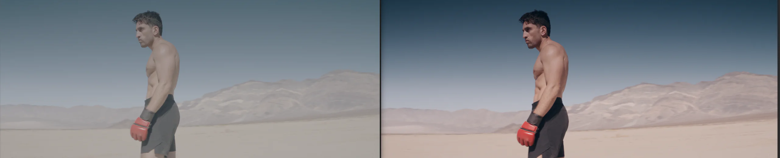 The Martial Artist 1 The Martial Artist color grade before/after comparison