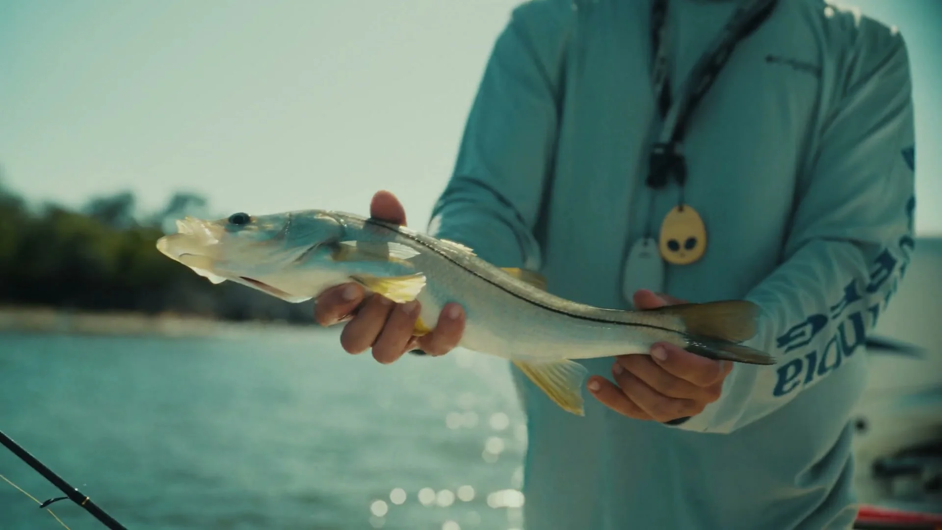 Columbia PFG: Pete Alonso 2 Pete Alonso holding a snook caught on Tampa Bay