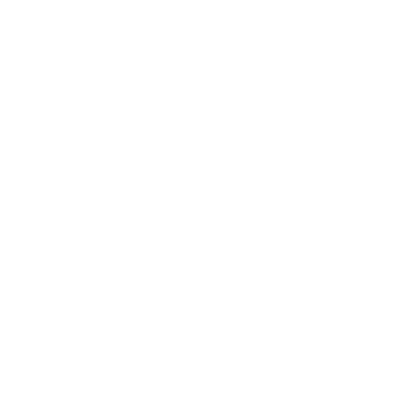 About 38 Dream Bigger, a C&I Studios core value