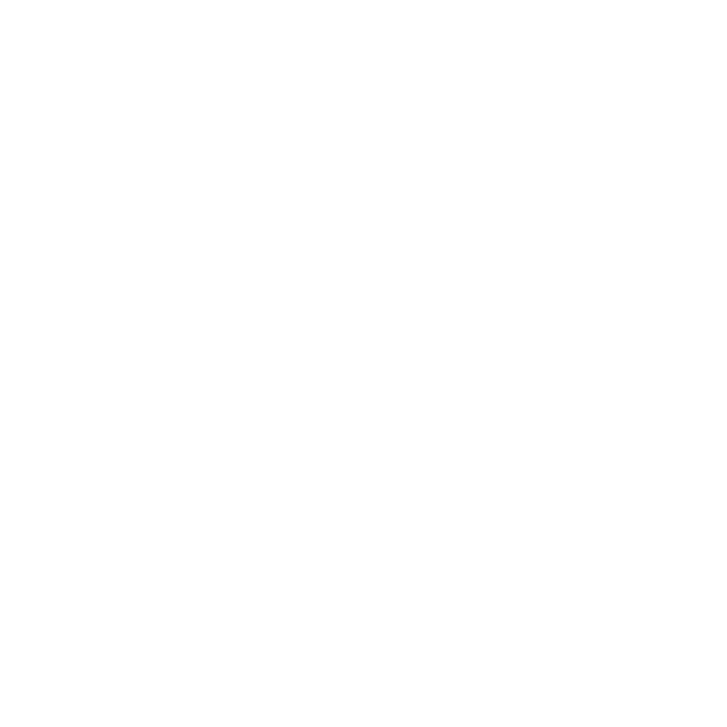 About 41 Take Flight, a C&I Studios core value