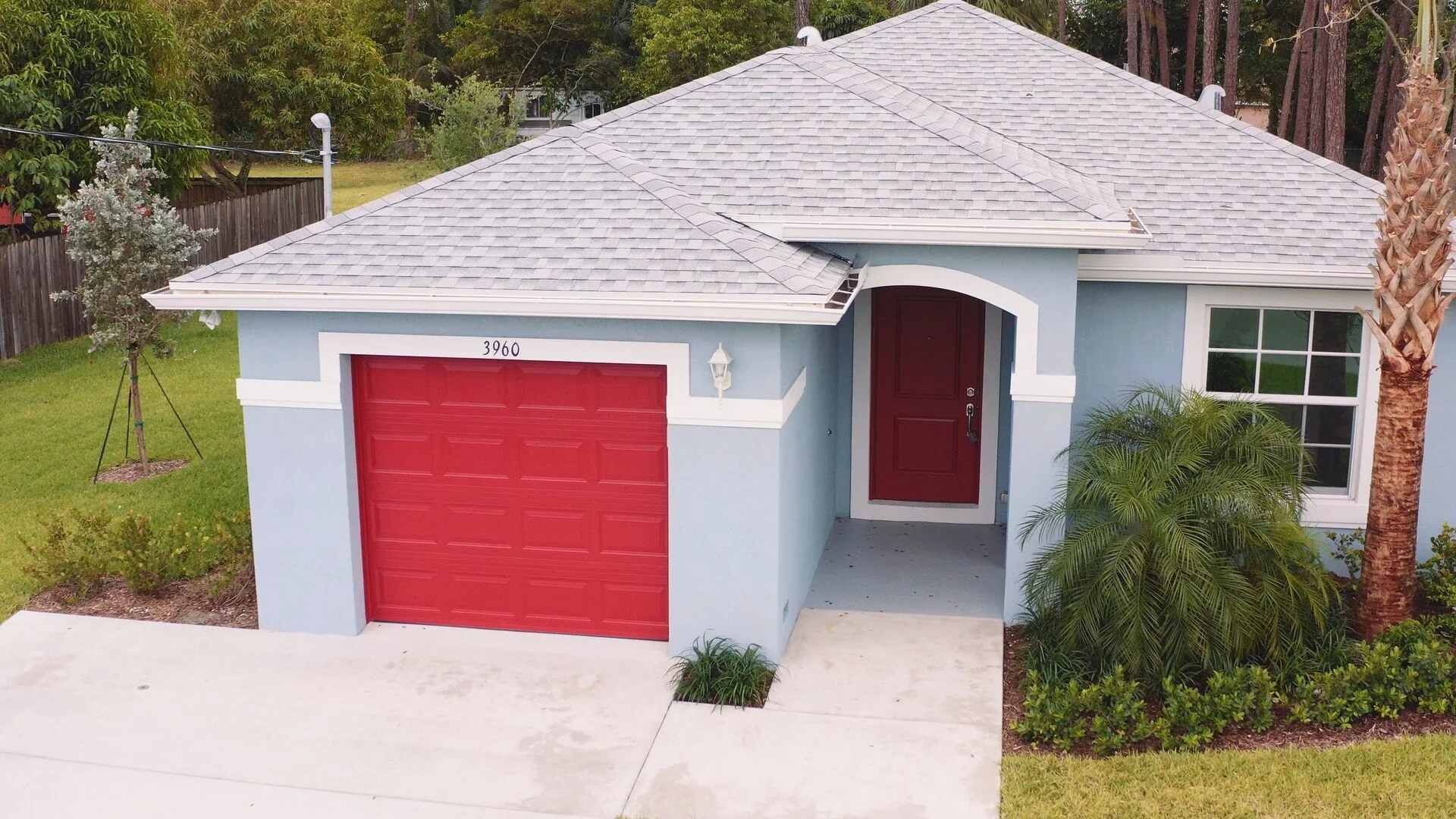 clt home palms clt home palms